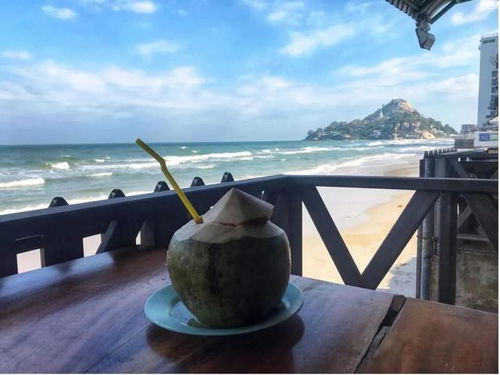 2022年 出境游曙光初現(xiàn)，國內(nèi)旅游迎來新機(jī)遇